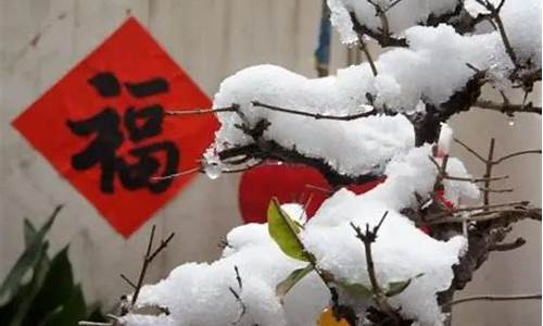 瑞雪兆丰年的唯美诗句_瑞雪兆丰年下一句是什么